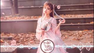 [Nhạc Hoa] ĐIỂM CA ĐÍCH NHÂN - Hải Lai A Mộc | Remix