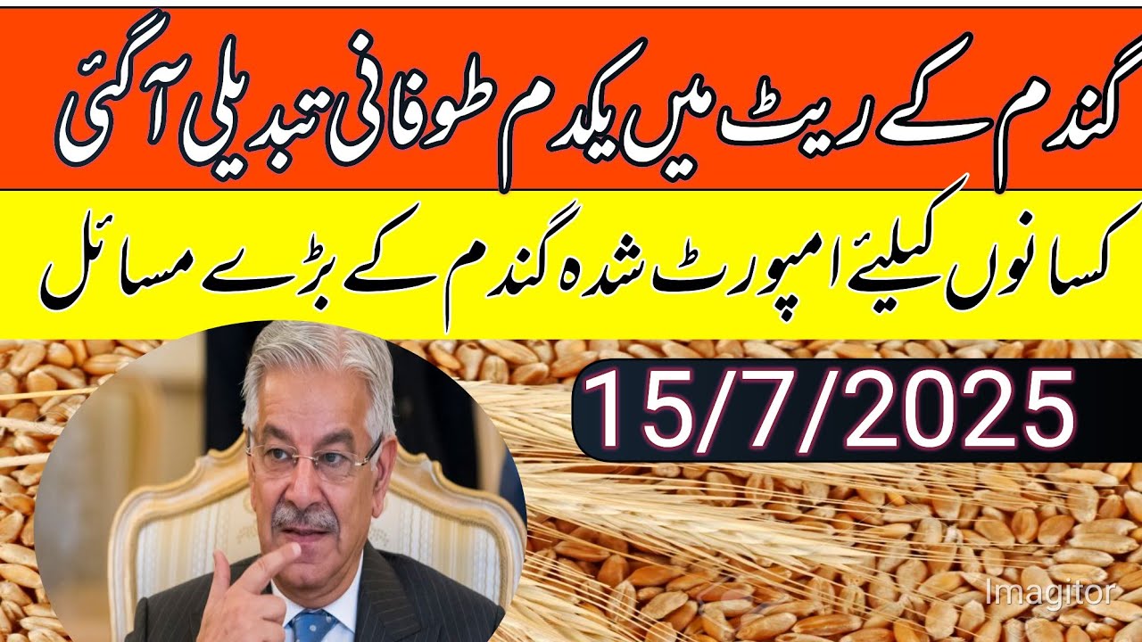 Wheat price in Punjab pakistan 2025/gundam support price in Punjab ...