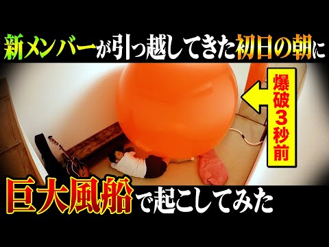 【衝撃のリアクション】引っ越してきた初日の朝に巨大風船爆破で起こしてみた〜新メンバー歓迎ドッキリ〜