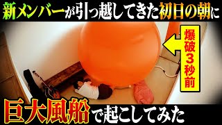 【衝撃のリアクション】引っ越してきた初日の朝に巨大風船爆破で起こしてみた〜新メンバー歓迎ドッキリ〜