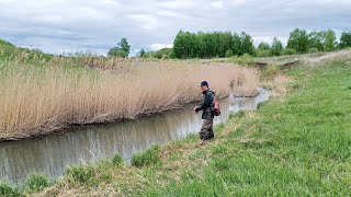 ВОТ это БОНУСЫ МИКРО-РЕЧКИ, их тут я НЕ ОЖИДАЛ. Рыбалка на спиннинг 2023