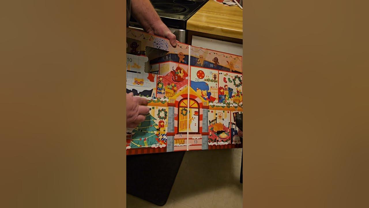 BarkBox 2023 Advent Calendar Day 5 of 24 barkbox short labrador YouTube