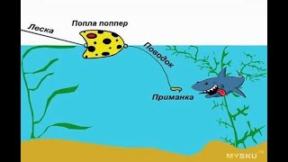 УБОЙНАЯ СНАСТЬ ПОПЛА-ПОППЕР. НАТАСКАЛ 9 КИЛО ПЛОТВЫ ЗА 50 МИНУТ. Скоро будет вкусная вяленая рыба!