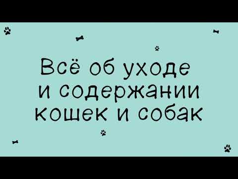 Ветаптека КЗВС | Товары для животных | Питомцы