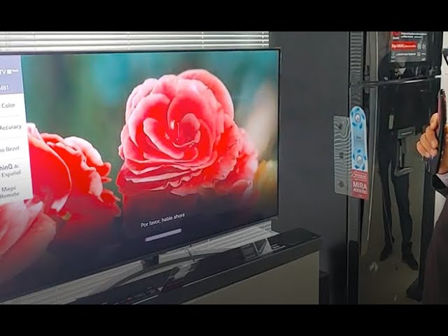 Control remoto universal LG TV para LG Smart TV MR21GA MR20GA MR19BA MR18BA  AKB75855501/2/3 Soporte Web OS con puntero, voz y ratón, teclas rápidas
