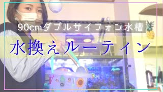 90cm海水水槽の水換えルーティン️大雑把すぎたw️my coral aquarium MOAMOAちゃんねる