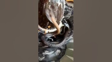 🙏shivling Abhishek🥀 bholenath status Mahakal WhatsApp status😘