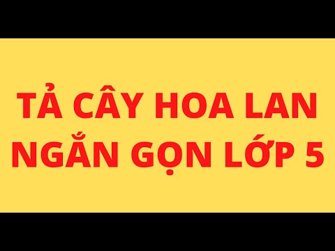 TẢ CÂY HOA LAN NGẮN GỌN LỚP 5 | Foci