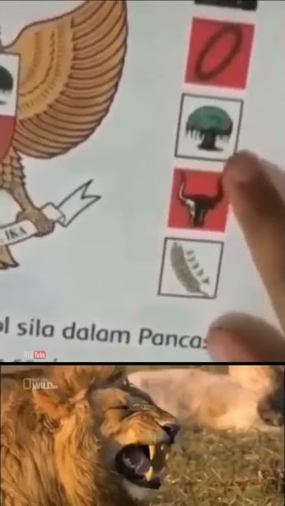 MEME VIRAL BOCIL JAWAB NGAWUR LAMBANG PANCASILA‼️🤣🤣🤣 #shorts #meme #funny #memeviral #lucu #ngakak