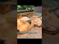 Space Capsule Cat Bed Universal Pet Sleeping Nest Transparent Cat House / #trending #coolgadget