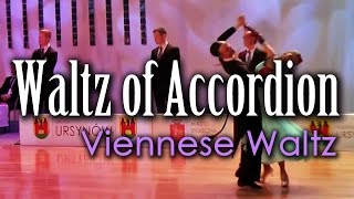 VIENNESE WALTZ | Dj Ice - Waltz Of Accordion (60 BPM) Resimi