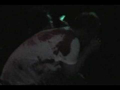 G.O.B. Video