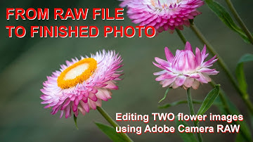 FROM RAW FILE TO FINISHED PHOTO: Processing TWO floral images from my Botanic Gardens visit.