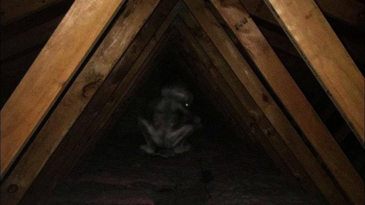 Backrooms Explained Entity 11 Busters YouTube