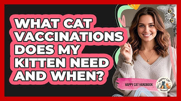 What Cat Vaccinations Does My Kitten Need And When? - Happy Cat Handbook