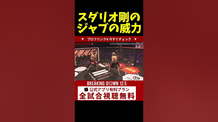 パンチ力がエグいスダリオ剛