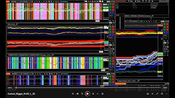 Customized - Digger __1