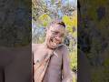 Chaba is very happy to find a lot of wild fruits in the forest #africa #hadzabetribe #chaba