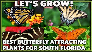 BEST BUTTERFLY ATTRACTING PLANTS FOR A SOUTH FLORIDA GARDEN