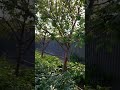 ЭРСАГ ДЛЯ ОГОРОДА