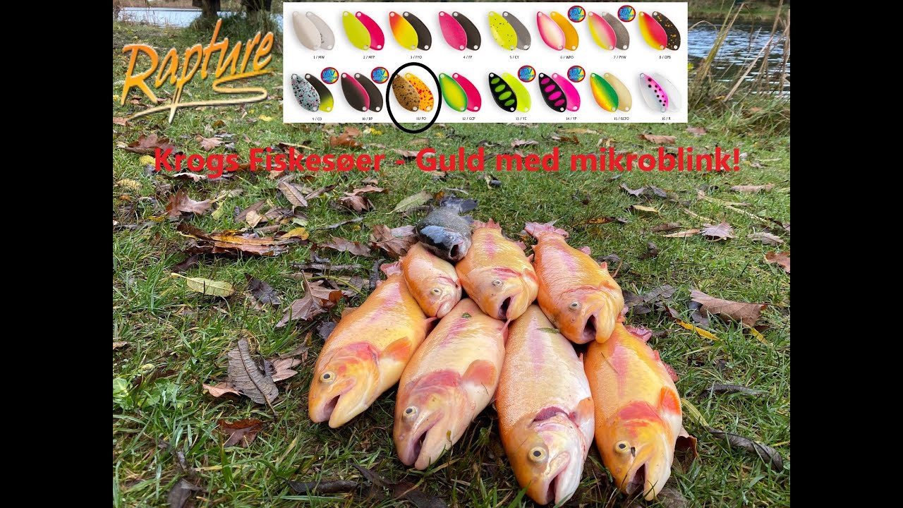 Krogs Fiskes er Total Guldfeber Put And Take Fishing YouTube Krogs fiskes er total guldfeber put and take fishing youtube