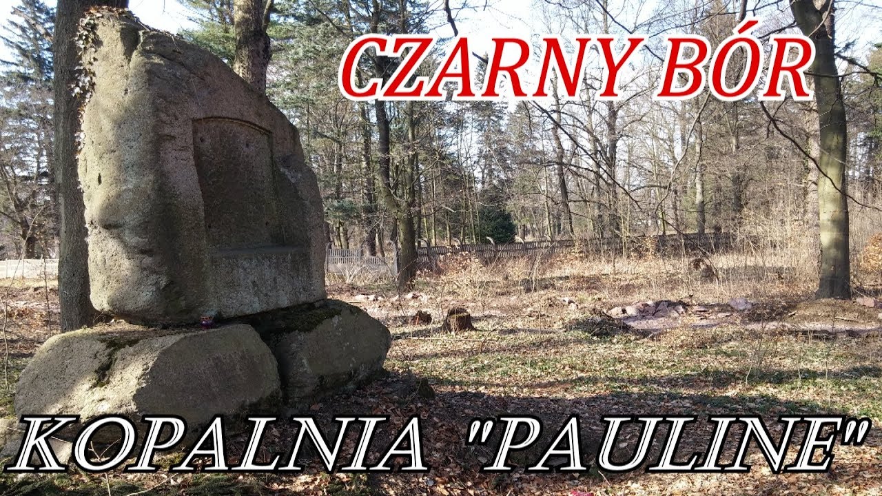 Wyprawy Leona- Z Pierwszej Ręki " Czarny Bór"