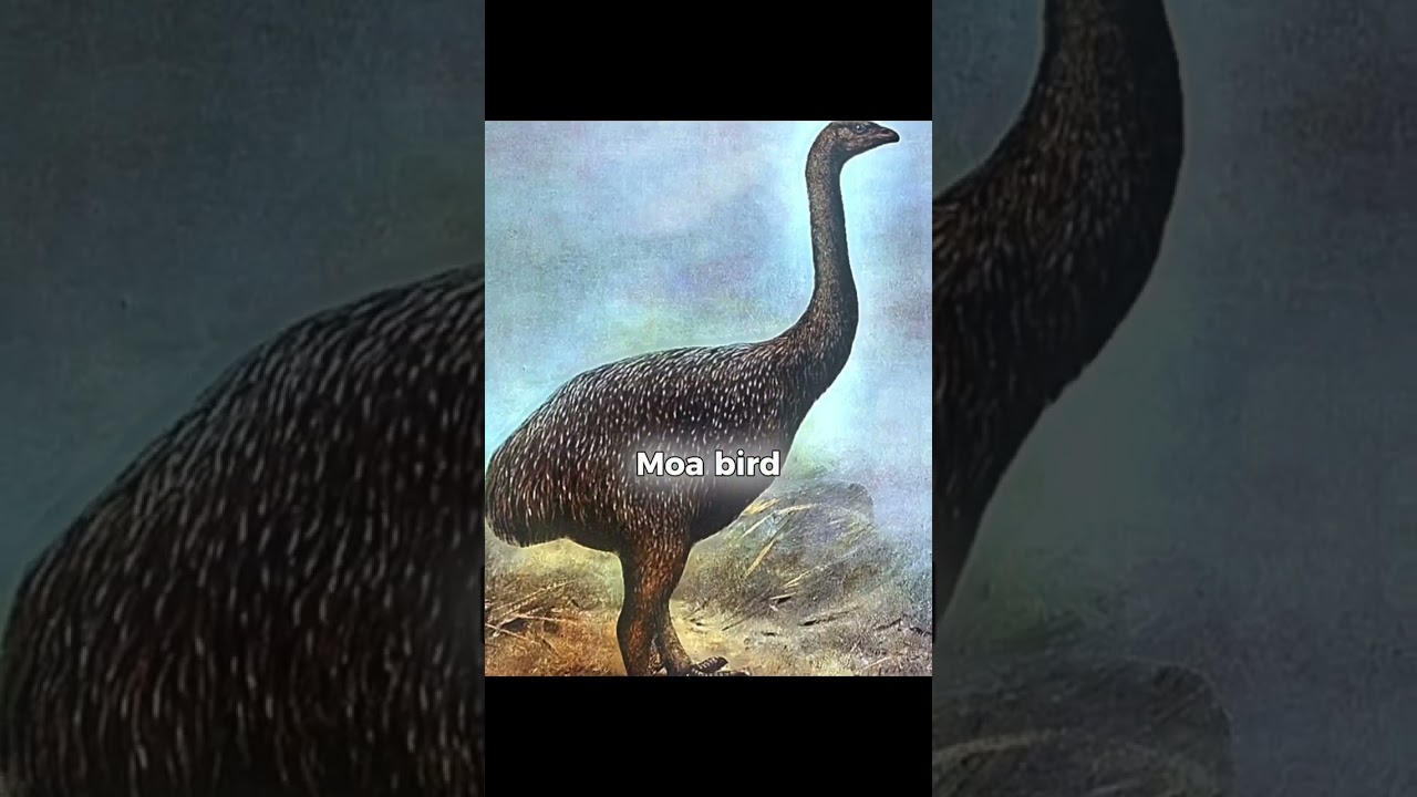 Animals scientists are trying to bring back pt.2 