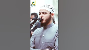 القارئ محمد عبادة 🌹