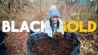 BLACK GOLD: SUPERCHARGE Your Backyard Winter Compost