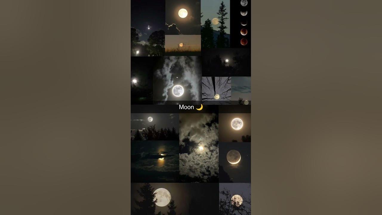#moonlight #song #vibes