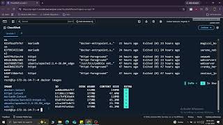 Docker, docker volume mount and bind mount part5