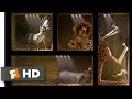 Madagascar (2005) - Shipped to Africa Scene (2/10) | Movieclips