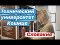 Кошице. Технический университет TUKE / Словакия Обучение