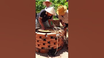 cá lóc úp thùng phi