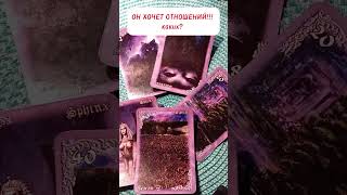 видео: ОН ХОЧЕТ ОТНОШЕНИЙ??? КАКИХ??? картинка: ОН ХОЧЕТ ОТНОШЕНИЙ??? КАКИХ???