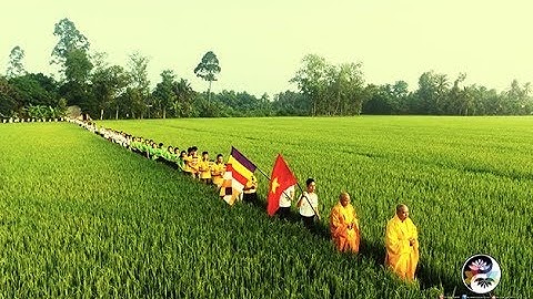 Đại Lễ Phật Đảng - Chùa Phước Hội -Tiền Giang - Bản Đồ Phật Giáo