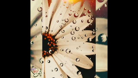 آية عظيمة / سعد الغامدي سورة ابراهيم