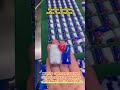 Water soluble PVA detergent pods making machine dishwasher capsules dishwasher tablets