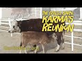 The gentle barn karmas reunion