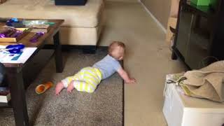 Odin crawling practice - 7 months
