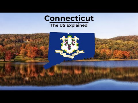 Video: Pohon Negara Bagian Connecticut - Charter Oak & Lebih Banyak Simbol CT