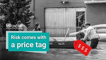 Why finance must act now on disaster risk | UNDRR