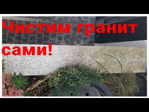 Как почистить гранит и мрамор от мха, плесени, зелени самостоятельно. Удаление мха, плесени, грибка.