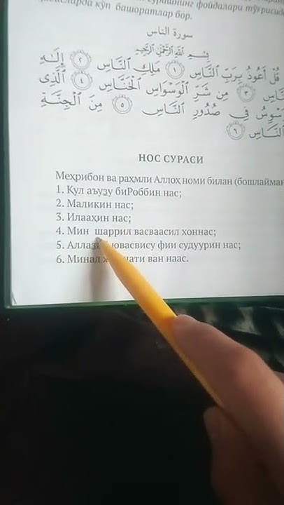 Нос сураси - YouTube