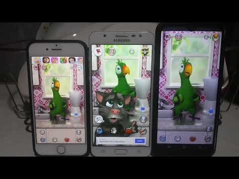 Talking Pierre Echo VS Talking Pierre Echo VS Talking Pierre Echo 393