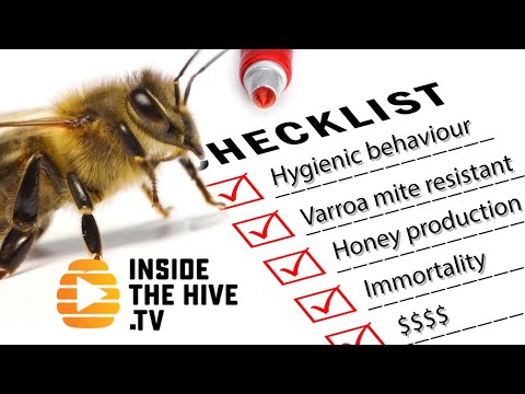 Video: Hoe volgzaam zijn honingbijen?