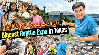 Biggest Reptile Expo in USA | har tarf khofnak snake hi snake