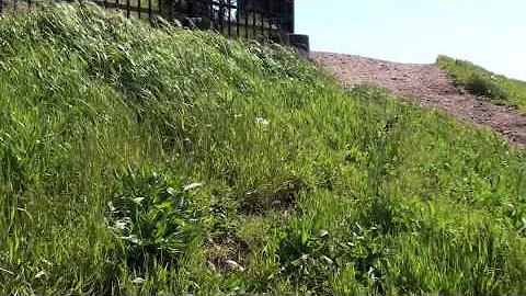 EPiSF-4.003 05BernalPan