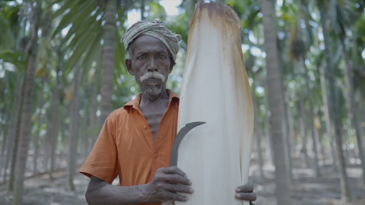 Sustainable Dinnerware Made from Fallen Areca Leaves | Arbhu Enterprises