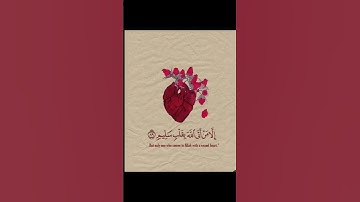 #ماهر_المعیقلي #سورة_الفيل ارح سمعك وقلبك اجمل تيلاوة توكل علا اللة❤️♥️